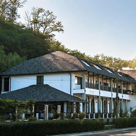 Hanul Cu Salcii Calimanesti Exterior foto